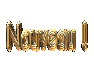 Archive Avril 2014 - APF France handicap dans le Calvados (14)